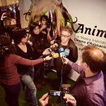 Animac-David-del-Val-fotografo-Lleida-Barcelona-29