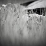 Nu-Pe-David-del-Val-fotografo-boda-07